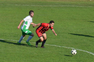 loznica macva b (3)