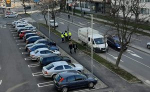 stabla sadjenje loznica