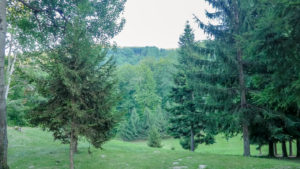 gucevo odmaraliste (1)