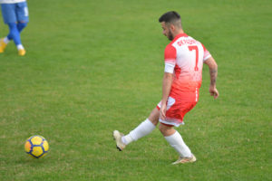 predrag gavric