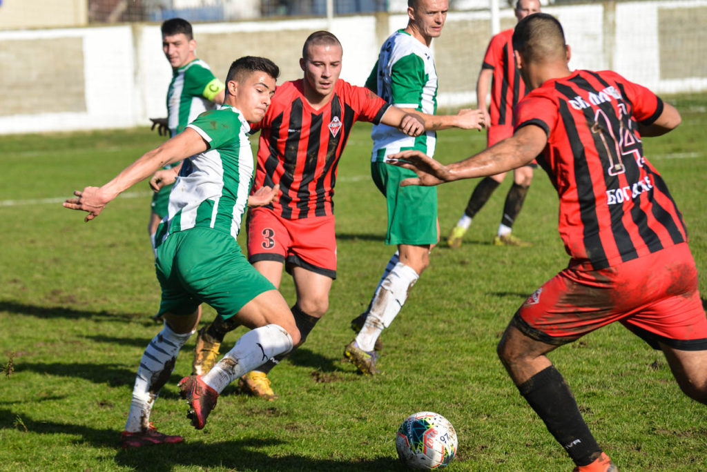 loznica macva b_9449