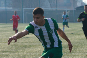 slobodan stanojlovic