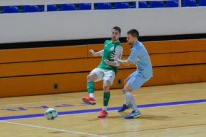 ristanovic kmf loznica