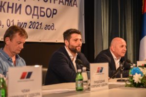 aleksandar sapic vidoje petrovic