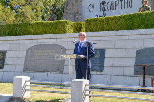 vidoje petrovic cer