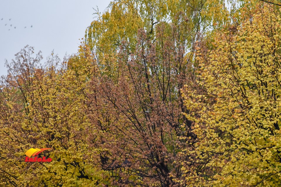 kisa jesen vreme _0414