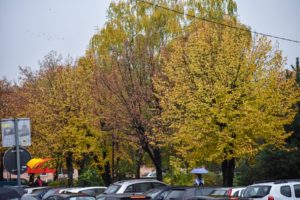 kisa jesen vreme_0415