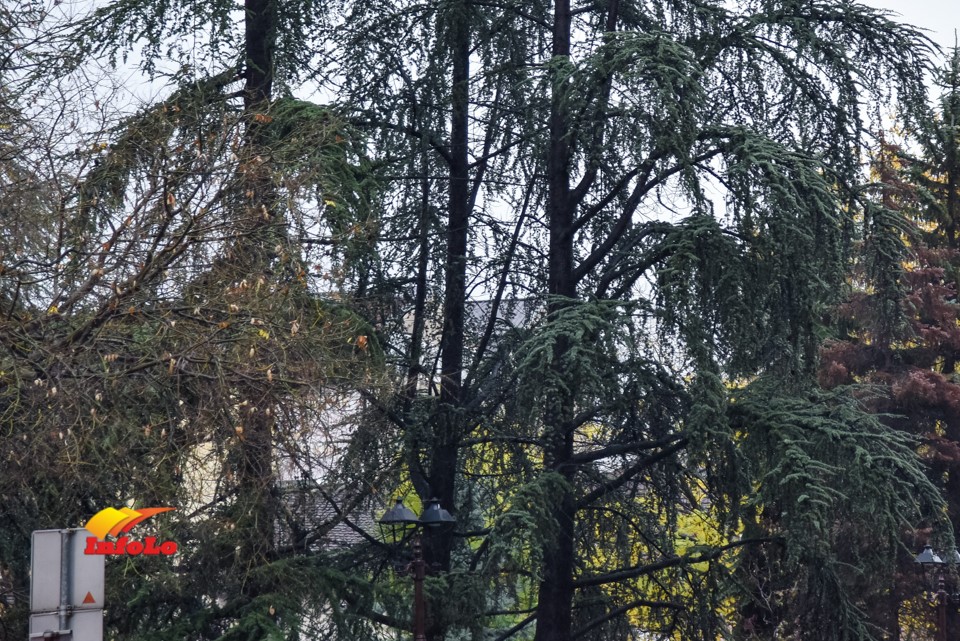 vreme _0432
