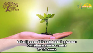 posadii sj lad