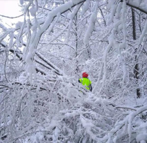 sneg-grane-put-struja