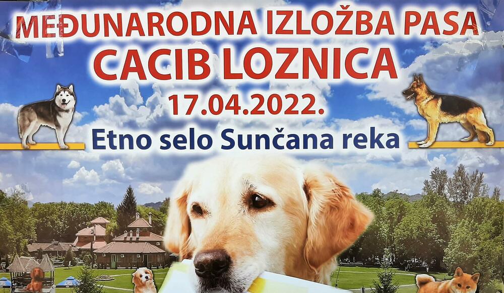 loznica izlozba pasa