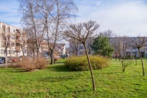 loznica 2023 zima suncan dan (2)