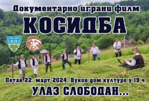 Loznica A3+