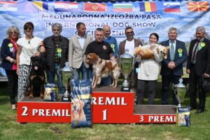 4 izlozba pasa suncana reka (15)