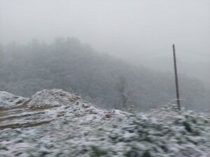 473537_viber-image-2024-04-17-08-12-40-400_iff