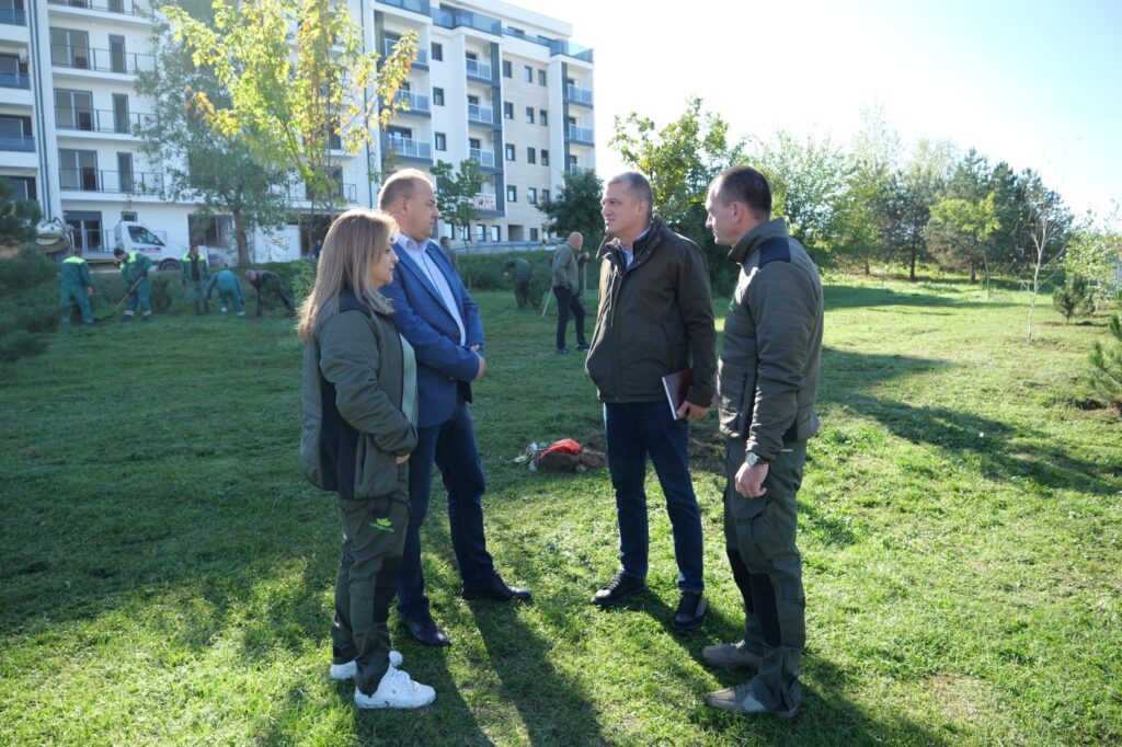 posadjeno 33 sadnice