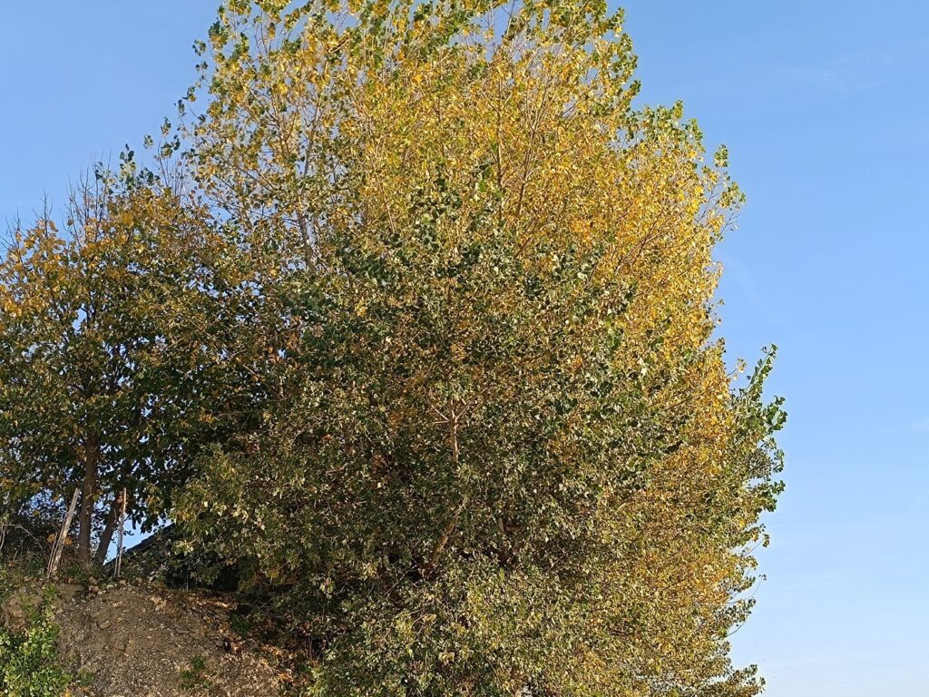 jesen vreme