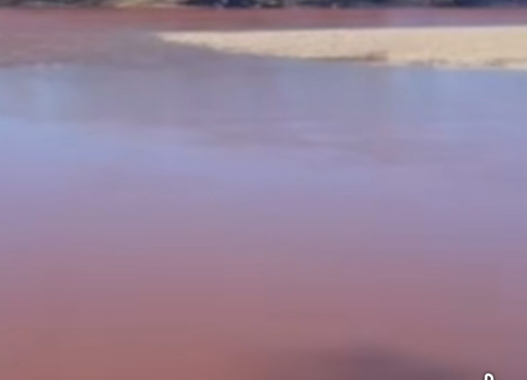 drina crvena