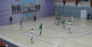 ub loznica