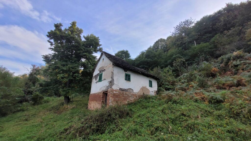 kuca-momcila-gavrica