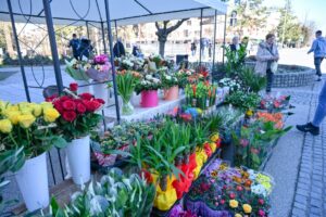 osmomartovski bazar (2)