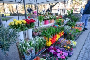 osmomartovski bazar (3)