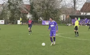 radivojevic vidojevica