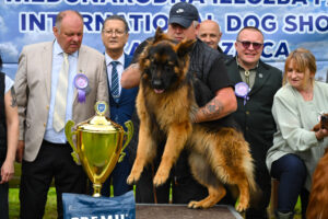 astor pobednik 5 izlozbe pasa suncana rekka