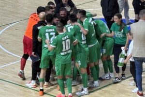 kmf loznica