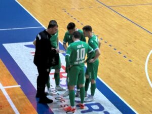 peric kmf loznica (Custom)