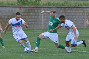 Nikola Vujičić fk loznica