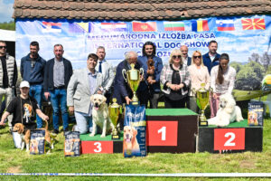 pobednici 2026 ilozba pasa svih vrsta