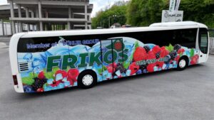 frikos (1)