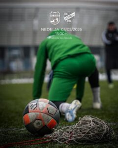 zemun loznica