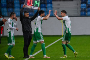 krstic šušnjar purtic uzdanice zeleno belih