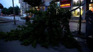 nevreme loznica
