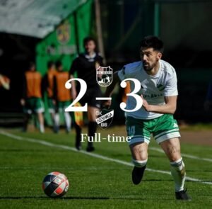 susnjar fk loznica zemun