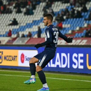 milan jezdimirovic