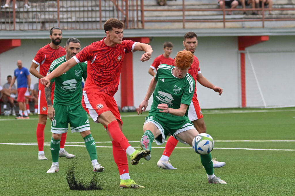radnicki loznica