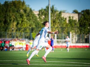 stefan purtic fk loznica