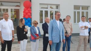 vucic-donja-borina-10