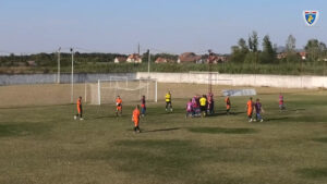 vuk-mladost-db