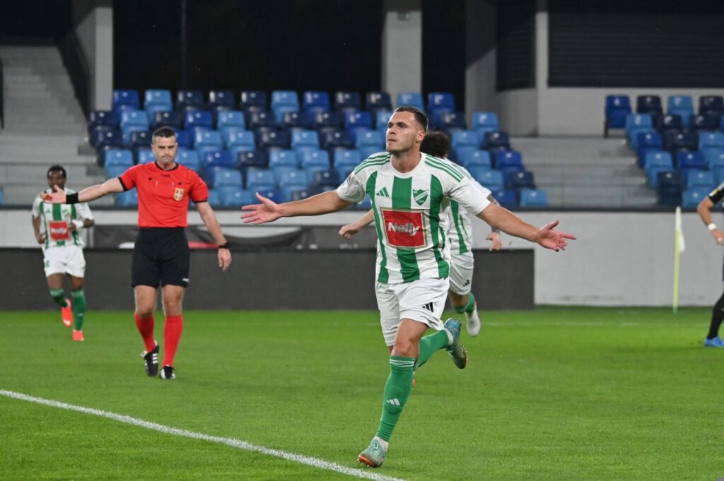 milan ilic fk loznica