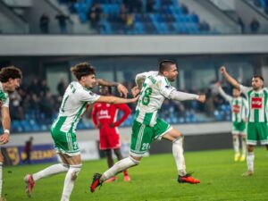vidic gol loznica